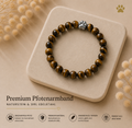 Premium Pfotenarmband Tigerauge ( (PAPA) HUNDEHELD